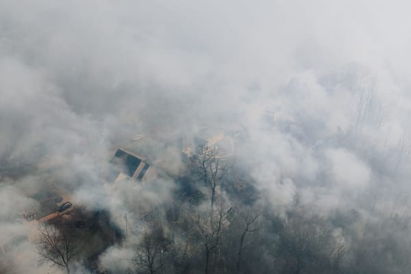 Wildfire Smoke Is Back This August. Does Your House Actually Need an Air Quality Monitor?